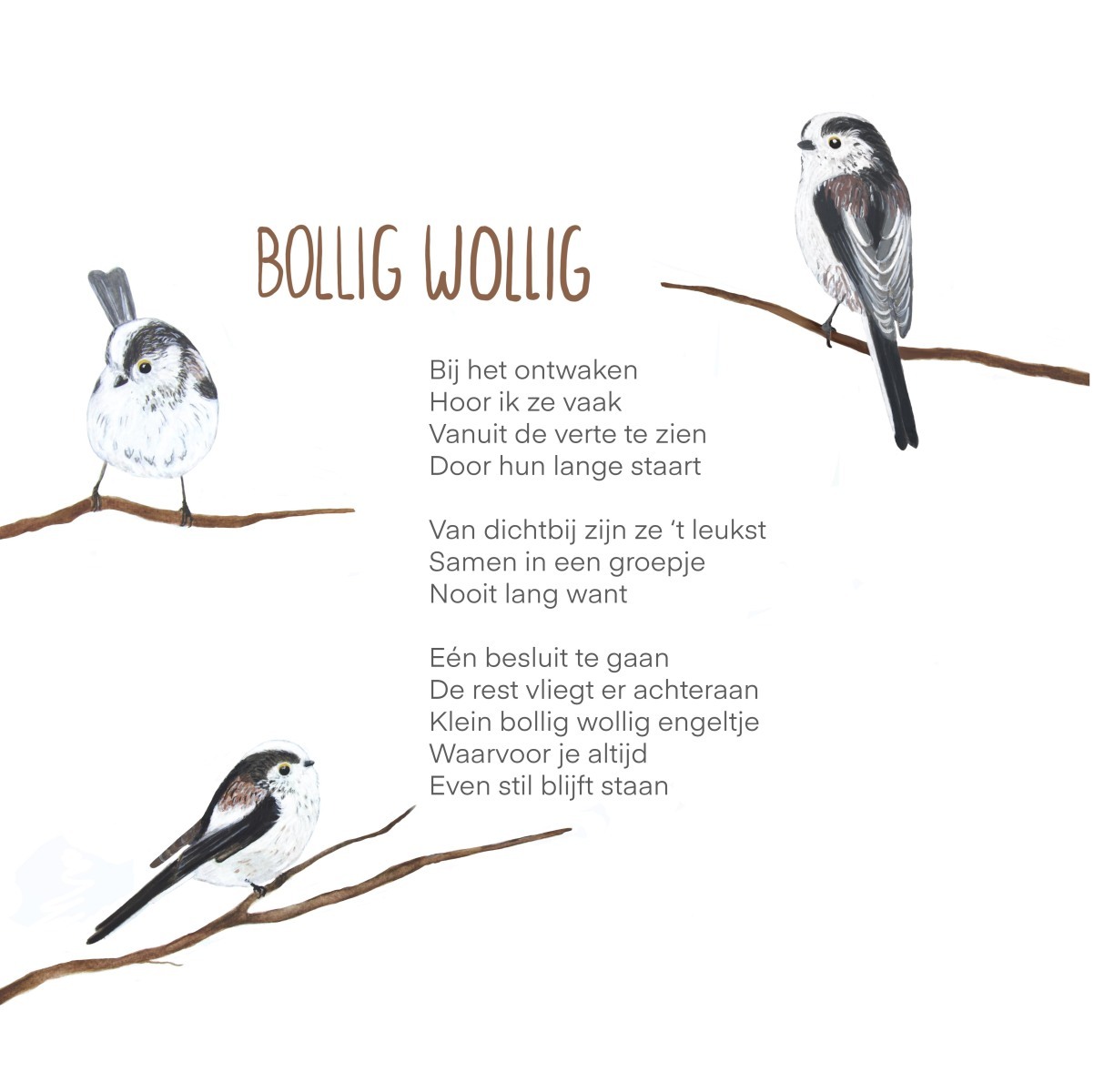 Bollig_Wollig