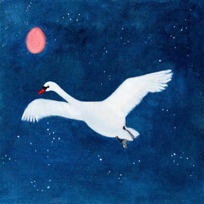 Zwaan-springt